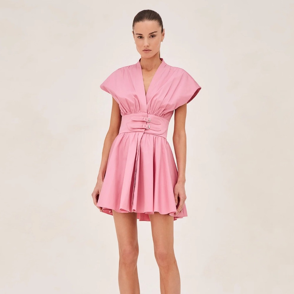 Alexis Bree dress